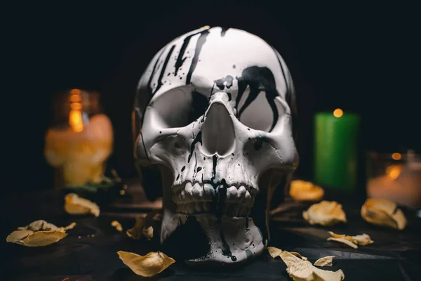 Gizemli bir ortamda dekoratif beyaz insan kafatası — Stok fotoğraf