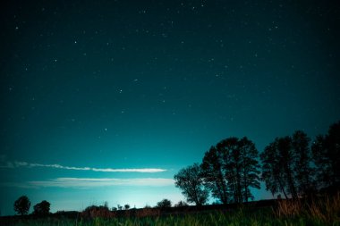 Yıldızlı mavi gökyüzüne karşı uzun ağaçların siluetleri. Gece manzarası. Yüksek kalite fotoğraf