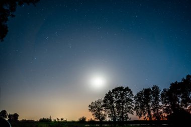 Gün batımında uzun ağaçların siluetleri. Parlak, güzel gökyüzü. - Evet. Yüksek kalite fotoğraf