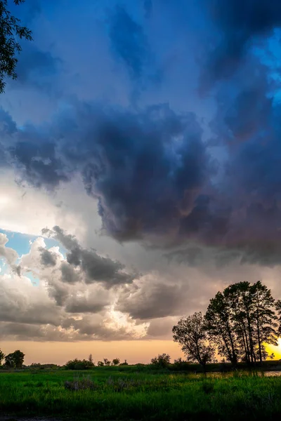 Bedeckter Himmel Gewitterwolken Silhouette Hoher Baum Grüner Schritt Vertikales Foto — Stockfoto