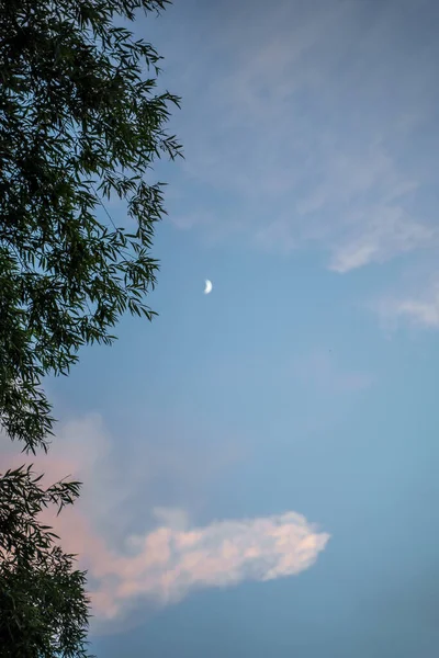 Strahlend Blauer Himmel Mit Grauen Wolken Sonnenstrahlen Vertikales Foto Hochwertiges — Stockfoto