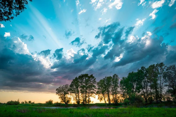 Panorama Des Waldes Schöner Blauer Himmel Mit Wolken Strahlender Sonnenuntergang — Stockfoto