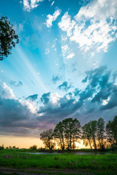 Panorama Des Wald Schöner Blauer Himmel Mit Wolken Heller Sonnenuntergang — Stockfoto