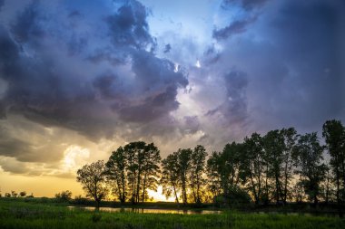 Hava bulutlu. Gök gürültülü bulutlar. Uzun ağaçların silueti. Yeşil bozkır. yatay fotoğraf. Yüksek kalite fotoğraf
