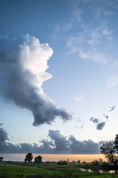 Schöne Luftwolken Blauen Himmel Grünwald Hochwertiges Foto — Stockfoto