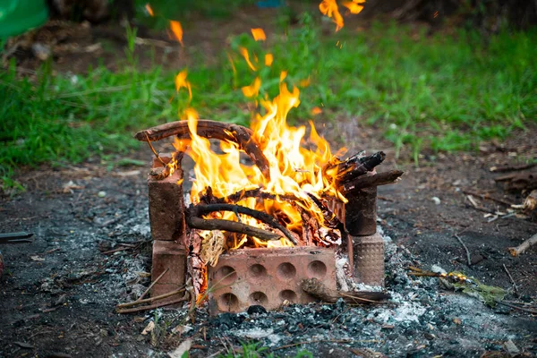 Firewood burns in a fire. Charred sticks. Homemade barbecue made of bricks. Green grass. High quality photo