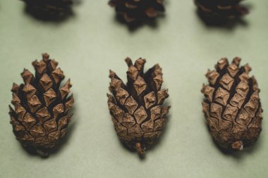 Açık yeşil arka planda çam kozalakları olan Noel arkaplanı, yakın plan.