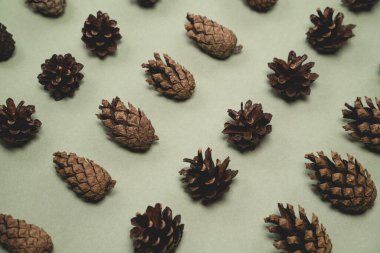 Noel arkaplanı köknar ve çam kozalakları birkaç sıra dizilmiş, yeni yıl kartı.