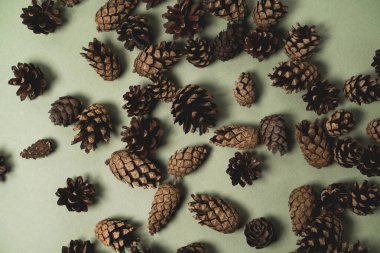 Doğal çam kozalaklarının Noel deseni kaotik bir şekilde yatar, uysal bir arka planda, yatay yönelimde.