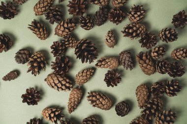 Yeni yıl kozalakları yumuşak bir zemin üzerinde kaotik bir şekilde uzanır, Noel resmi, üst manzara