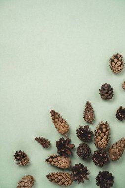 Noel kozalaklı hassas bir masa. Mutlu Noeller ve mutlu yıllar konsepti. Kopyalama alanı olan üst görünüm, düz yatay.