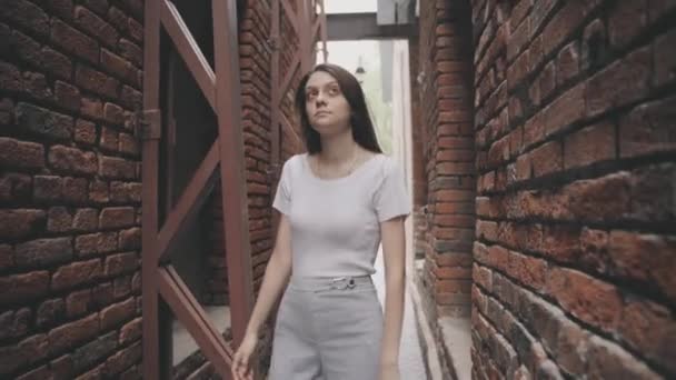 Mulher morena bonito caminha através de um túnel vintage com paredes de tijolo — Vídeo de Stock