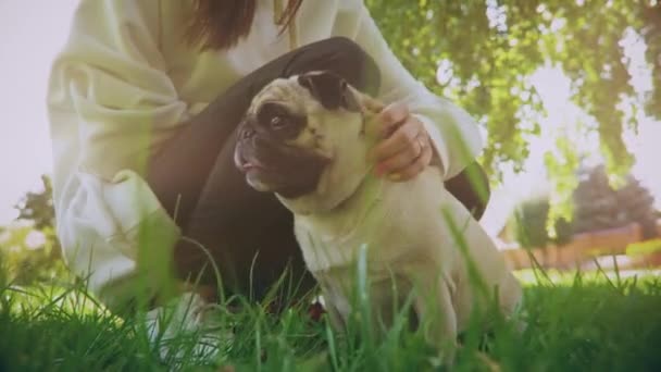 Mały mops w zielonym parku ze swoją kochanką. — Wideo stockowe