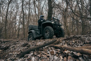 Dörtlü bisiklet süren bir adam tepe yüzeyinde, sonbahar ormanında, turist gezisinde