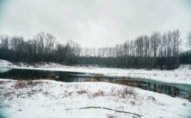 Gri kış ormanı, ağaçsız yapraklar, donmuş göl.