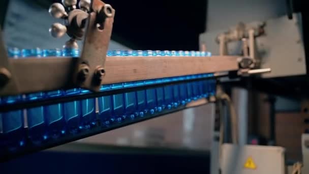 Het inbrengen van lege plastic fles voorvormen in een transportband — Stockvideo