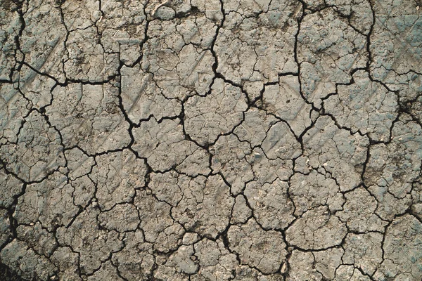 Dry Ground Many Small Cracks — Stock Photo, Image