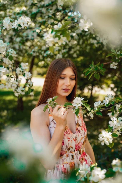 Retrato Uma Linda Garota Bonita Pomares Maçã Florescendo Sorriso Doce — Fotografia de Stock