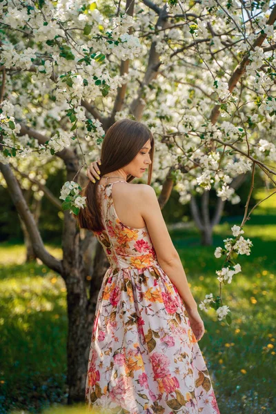 Una Ragazza Abito Lungo Luminoso Erge Con Schiena Parco Verde — Foto Stock