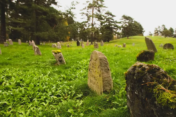 Antico antico cimitero ebraico luogo storico in Miory, regione di Vitebsk, Bielorussia. Atmosfera mistica, monumenti ricoperti di muschio, erba verde e foglie giallo-rosse autunnali, cielo grigio intenso — Foto Stock