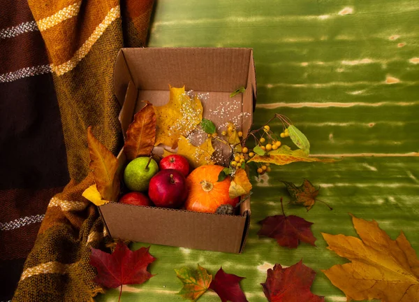 Autumn fall Halloween Thanksgiving season special post delivery box with fruits and vegetables apples pumpkin maple leaves and other decoration. Free blank copy space for text — Stock Photo, Image