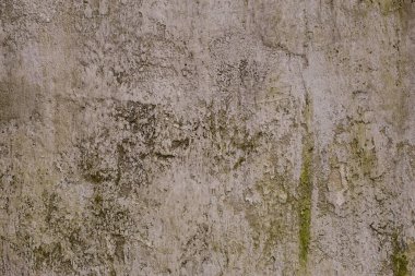 Eski çentikli sarı kahverengi alçı duvar yeşil yosun desenli arka plan.