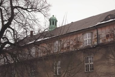 Önünde bir ağaç ve penceresi olan sarı kahverengi bir binanın ön cephesi. Litrhuania 'daki Klaipeda şehrinin sokak manzarası. Retro hipster solgun işlem stili. Gri ve kasvetli bir ruh hali