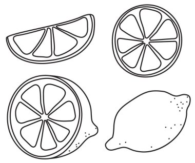 El çizimi karikatür tarzı vektör çizimi. Limonlu limon portakalı turunç meyveleri koleksiyonu menü için, çiftçi pazarı tasarımı, kokteyl hazırlama süreci illüstrasyonu, yemek kitabı dekorasyonu vs.