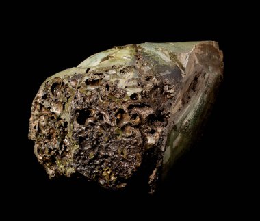 Rusya Kamçatka 'dan koyu yeşil volkanik cam obsidiyen mineral. Siyah üzerine izole edilmiş bir taşın arka plan fotoğrafı. Jeoloji web siteleri, taş koleksiyonu kataloğu, Doğal Bilim Müzesi duvar çizelgesi