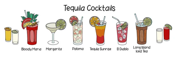 Collection set of classic tequila based cocktails Sunrise, Bloody Maria, El Diablo, Paloma, Margarita and two shots of golden silver tequila with sangrita. Cartoon doodle style vector illustration — Stock Vector