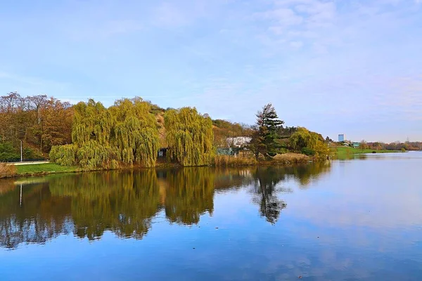 Bos Meer Omgeven Door Bomen — Stockfoto