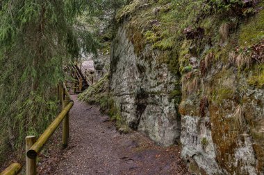 Turist pisti, Avrupa 'da büyük doğal kayalıkların yanındaki patika. Fotoğraf bulutlu bir bahar gününde çekildi..