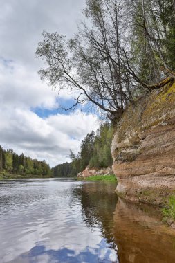 Sıcak ve bulutlu bir bahar gününde Gauja nehrinin manzarası. Fotoğraf Avrupa, Letonya 'da çekildi.