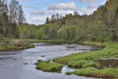 Sıcak ve bulutlu bir bahar gününde Gauja nehrinin manzarası. Fotoğraf Avrupa, Letonya 'da çekildi.
