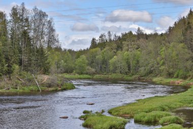 Sıcak ve bulutlu bir bahar gününde Gauja nehrinin manzarası. Fotoğraf Avrupa, Letonya 'da çekildi.