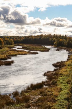 Sonbaharda ormanın yakınında akan Venta nehrinin kırsal manzarası. Fotoğraf ılık bir sonbahar gününde çekildi..