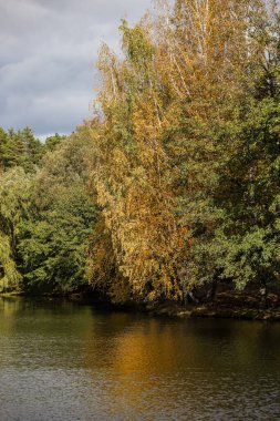 Ağaçların yakınındaki küçük gölet manzarası çok güzel. Fotoğraf bulutlu bir günde çekildi..
