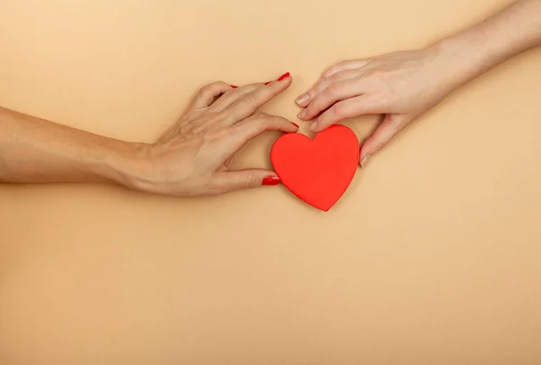 Koncept LGBT. Dámské ruce držící červené srdce — Stock fotografie