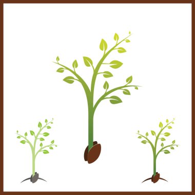 Toprağa tohum ekiyorum. Sembol fidan gibi büyür. Kök vektör illüstrasyonlu yeşil taze bitki filizleri.