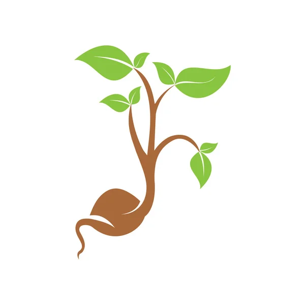 Planter Des Graines Germées Dans Sol Symbole Pousser Arbuste Germe — Image vectorielle
