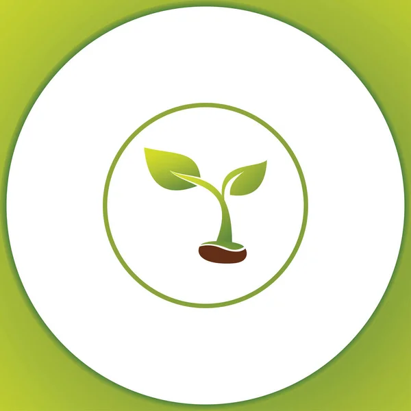 Посадка Семян Землю Символ Выращивания Саженца Зеленая Свежая Растительная Капуста — стоковый вектор