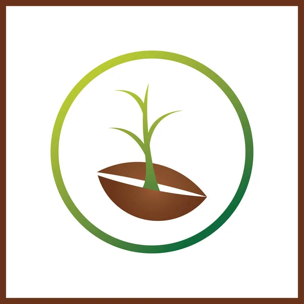 Samen Die Erde Pflanzen Symbolpflanzen Wachsen Grüner Frischer Pflanzenkeim Mit — Stockvektor