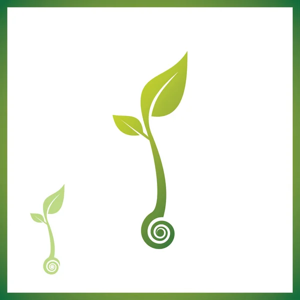 Посадка Семян Землю Символ Выращивания Саженца Зеленая Свежая Растительная Капуста — стоковый вектор