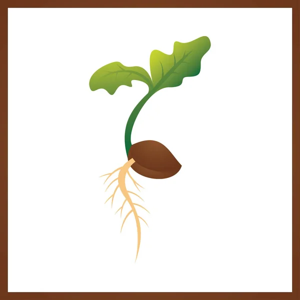 地面に種を蒔く シンボルは苗木を成長させます 根のベクトルイラストと緑の新鮮な植物の芽 — ストックベクタ
