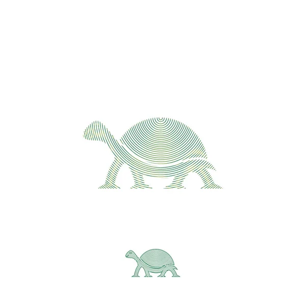 Plantilla Logotipo Tortuga Arte Patrón Línea Simple — Archivo Imágenes Vectoriales