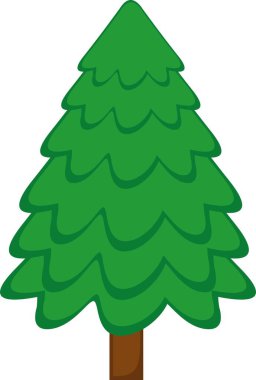 Bir çam ağacının vektör illüstrasyonu