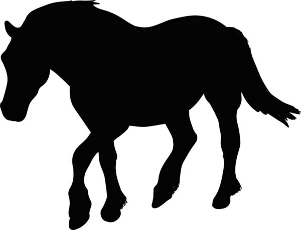 Vector Illustratie Van Het Silhouet Van Een Paard — Stockvector