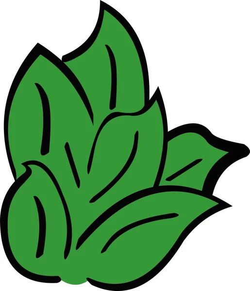 Vektorillustration Der Blätter Pflanzliches Kraut — Stockvektor