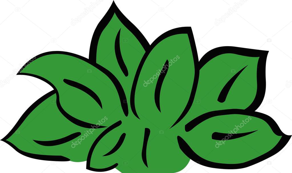 Vector illustration of leafs plant herb