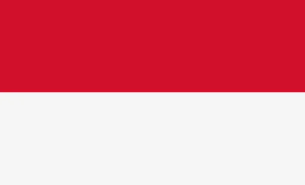 Vektör Çizim Polonya Bayrağı — Stok Vektör